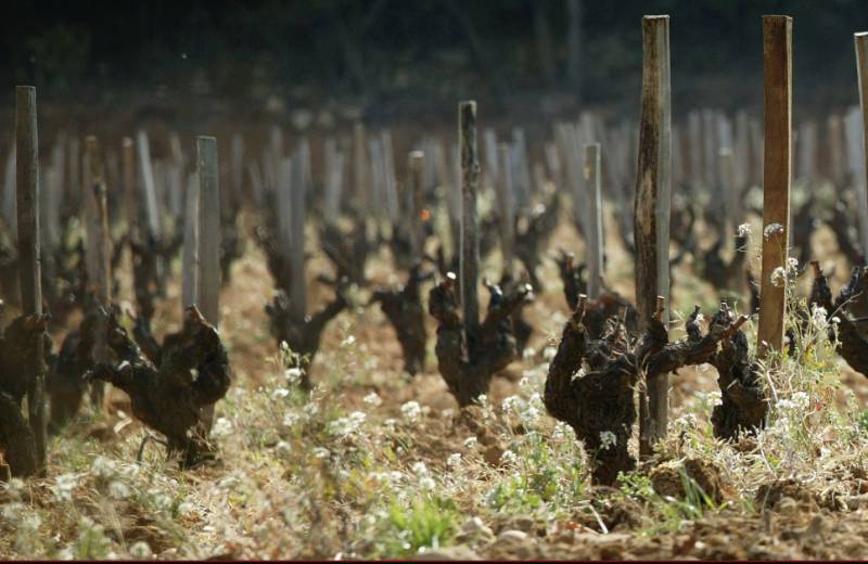Domaine des Tours