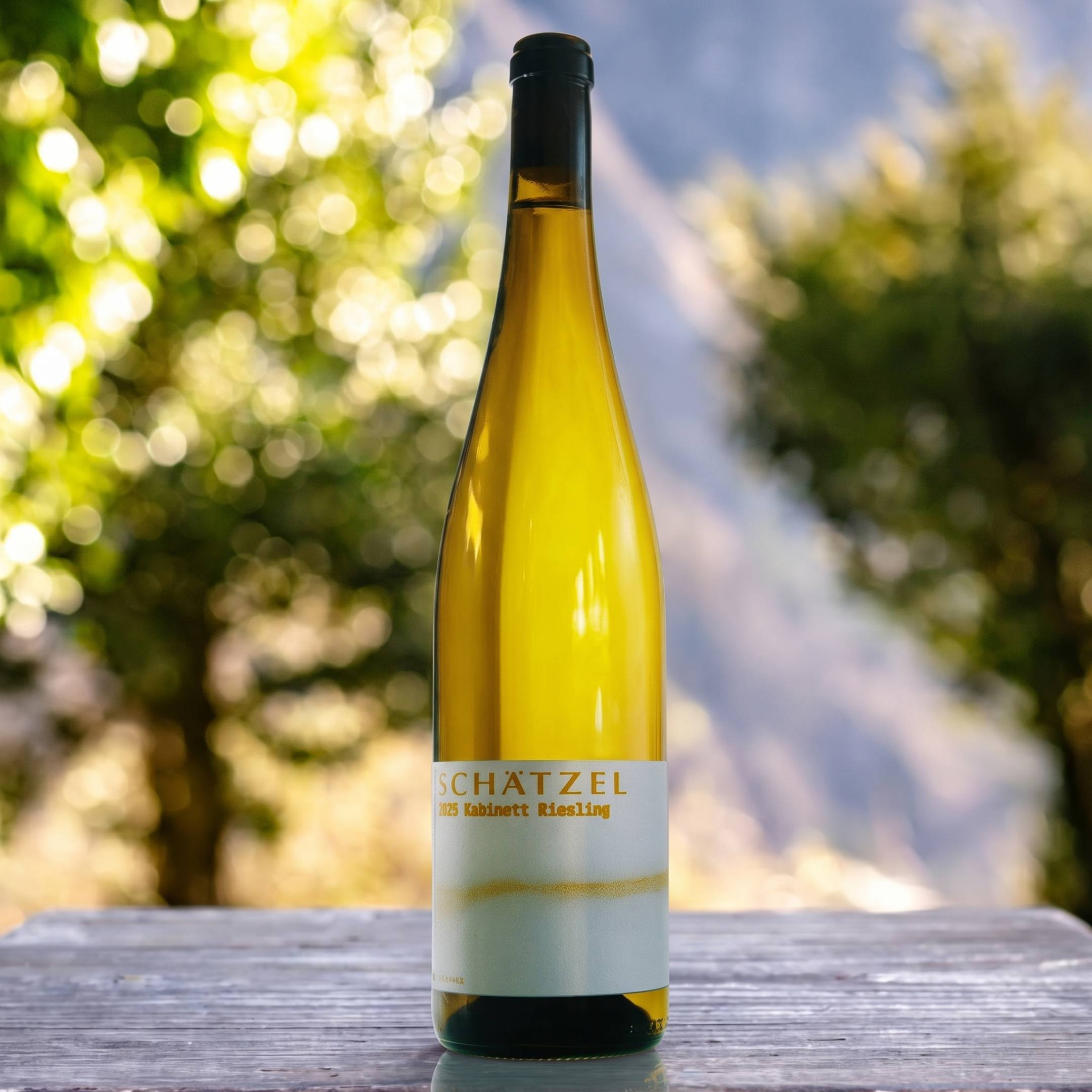 Schatzel Kabinett Riesling VDP Gutswein