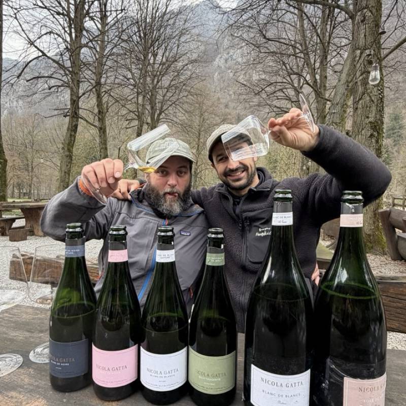 WILD VIGNERON DROP - NICOLA GATTA