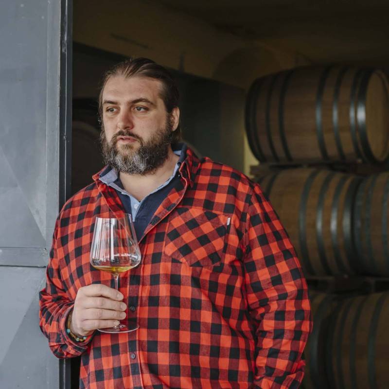 Nicola Gatta WILD VIGNERON DROP - NICOLA GATTA