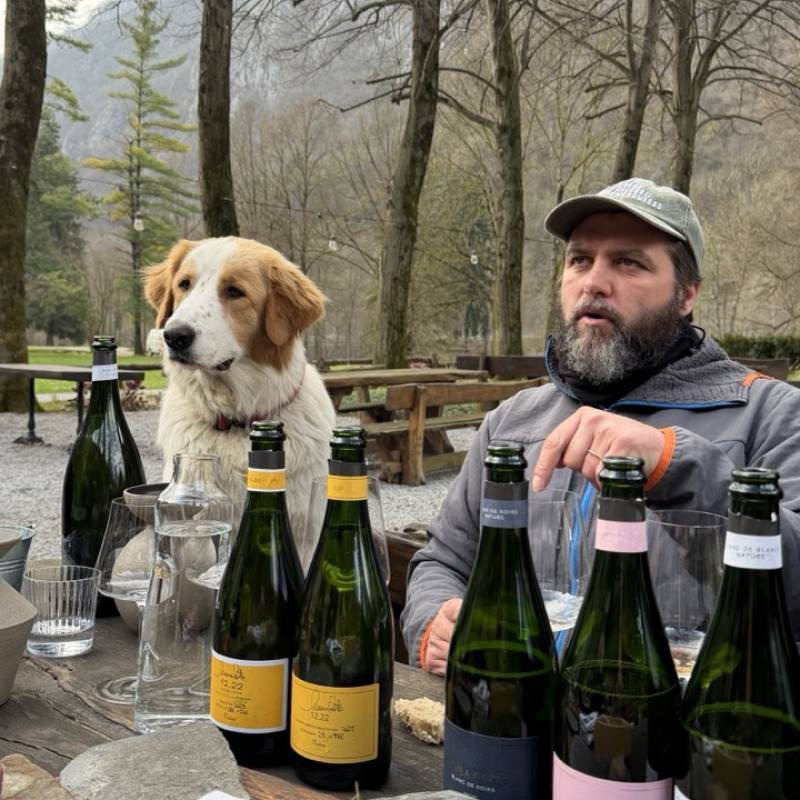 Nicola Gatta WILD VIGNERON DROP - NICOLA GATTA