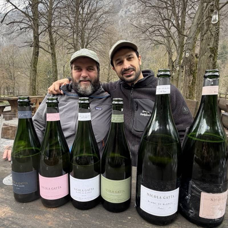 Nicola Gatta WILD VIGNERON DROP - NICOLA GATTA