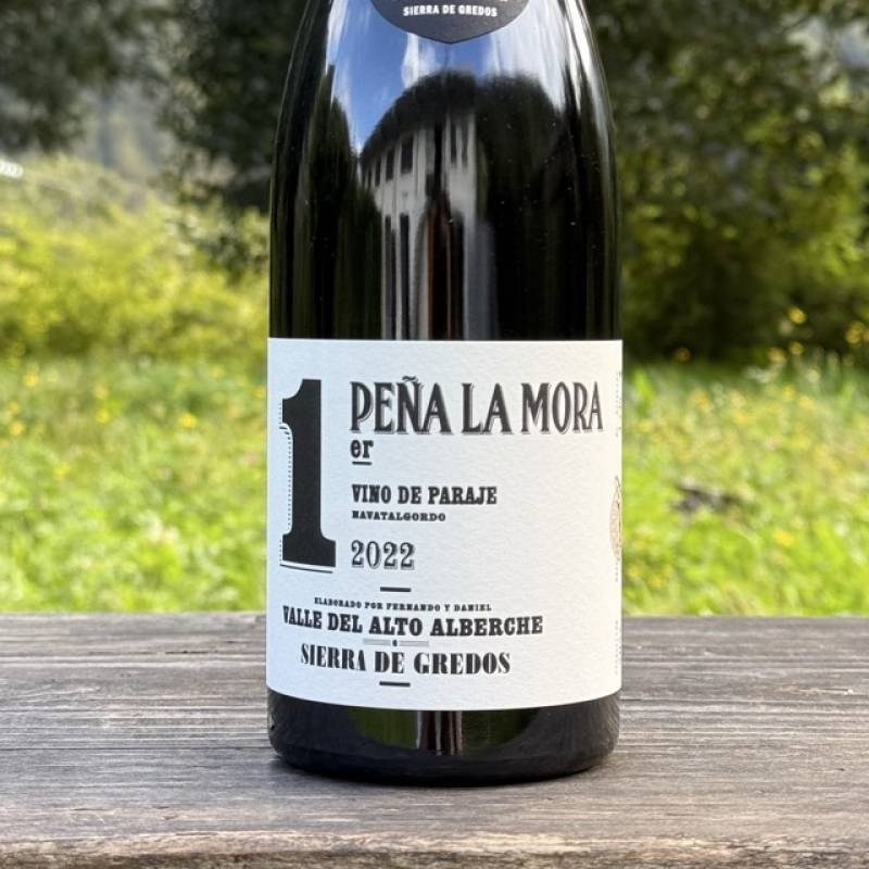 Comando G Pena La Mora 1er