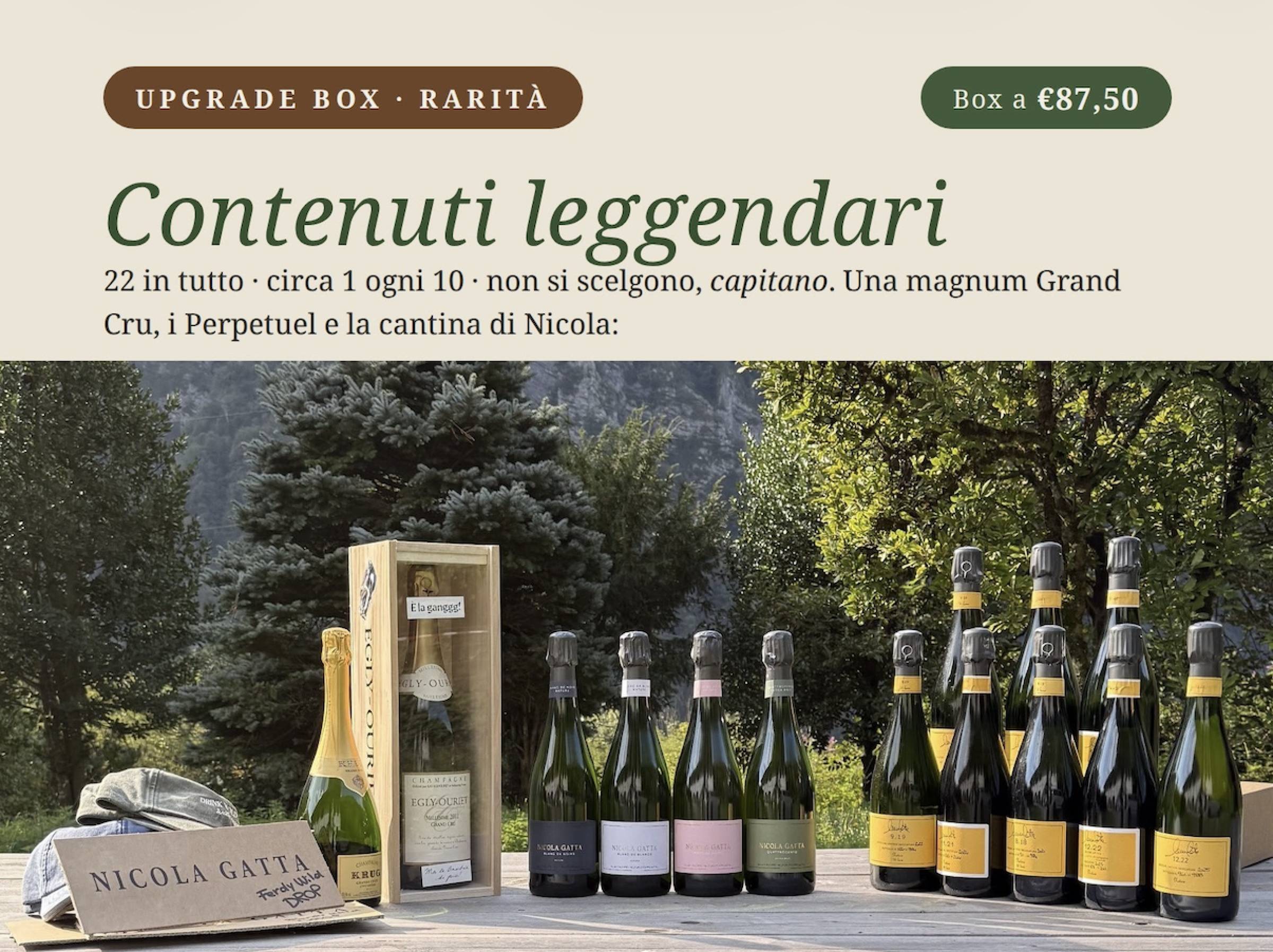 WILD VIGNERON DROP - Nicola Gatta 