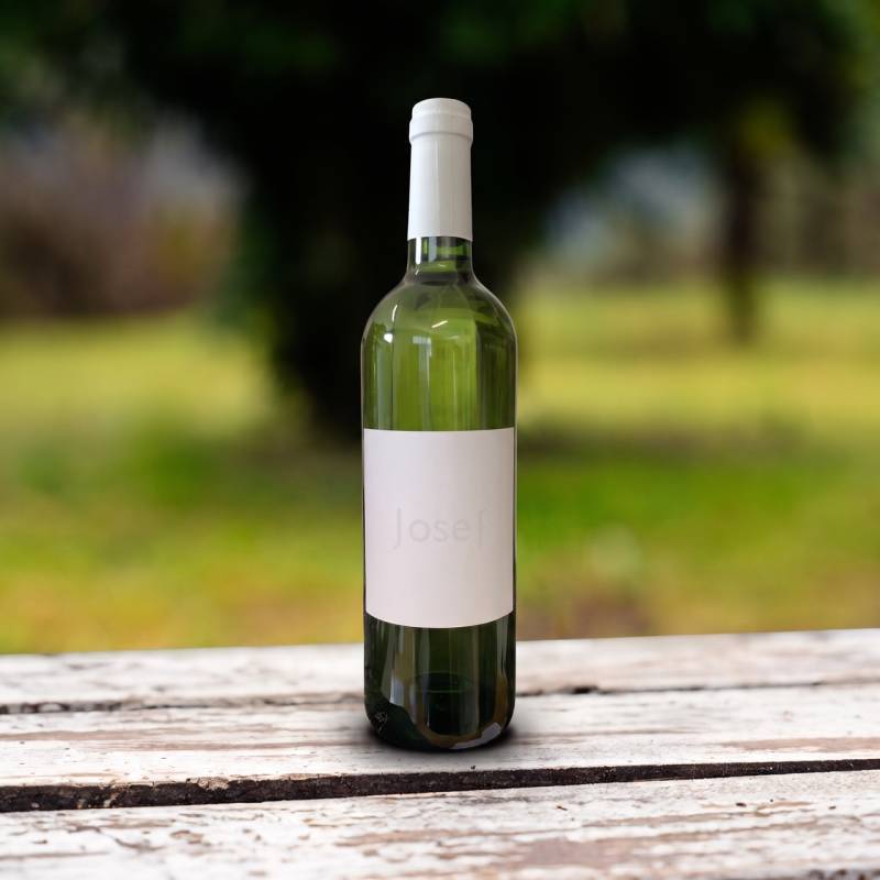 Garganega