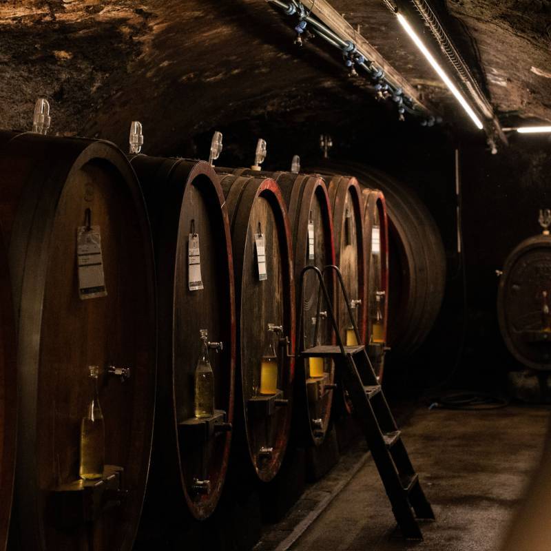 Schatzel Riesling 3000