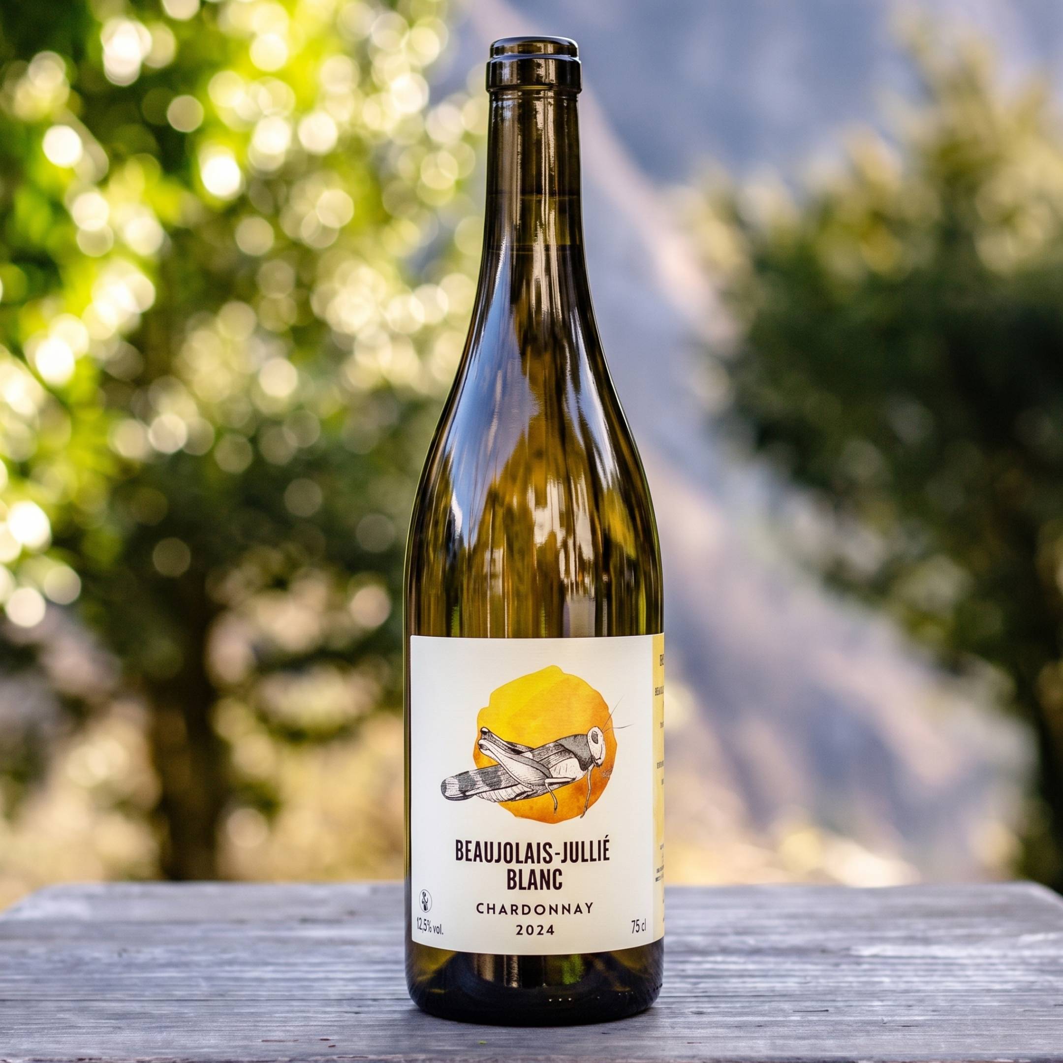 Oedipoda Beaujolais Villages Blanc