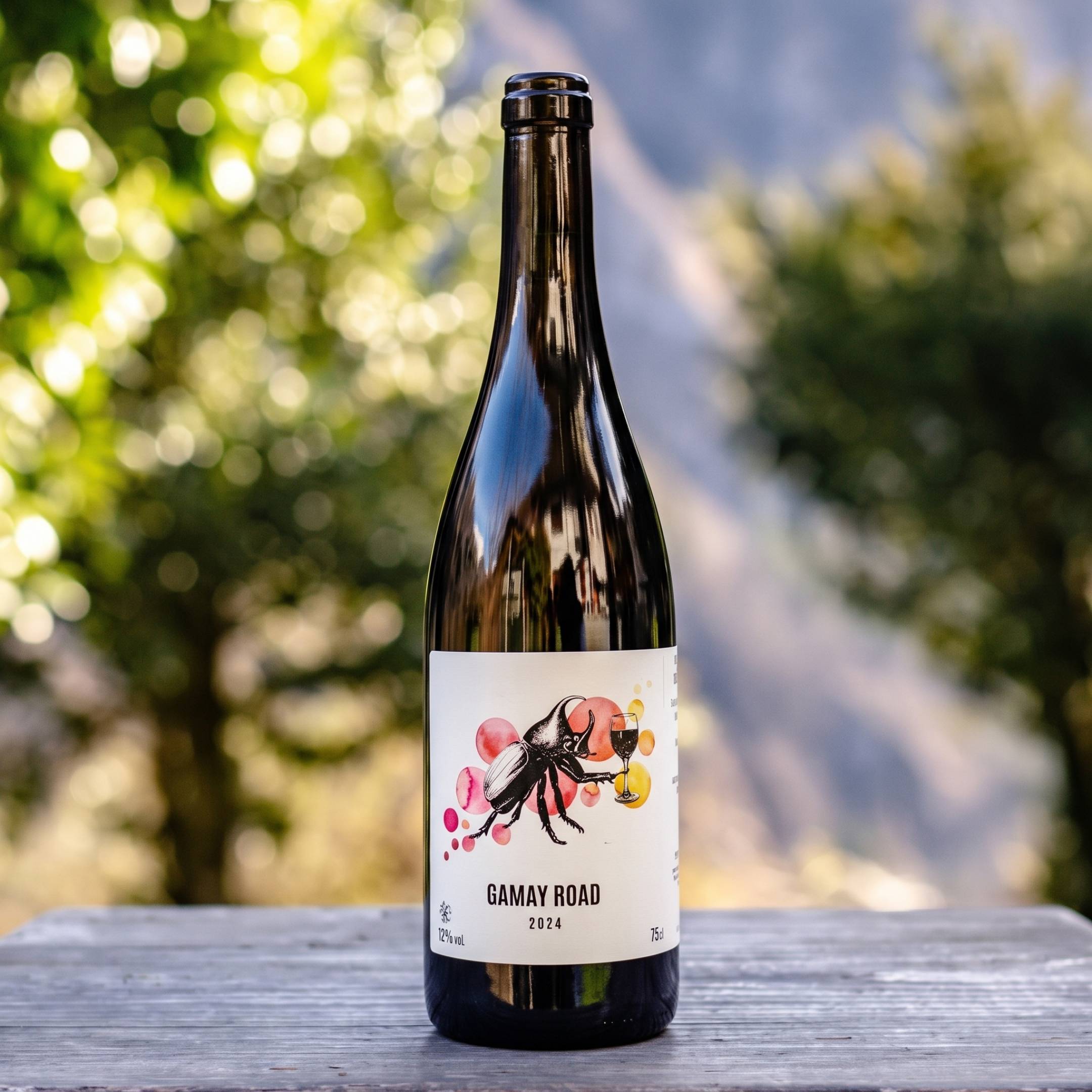 Oedipoda Gamay Road