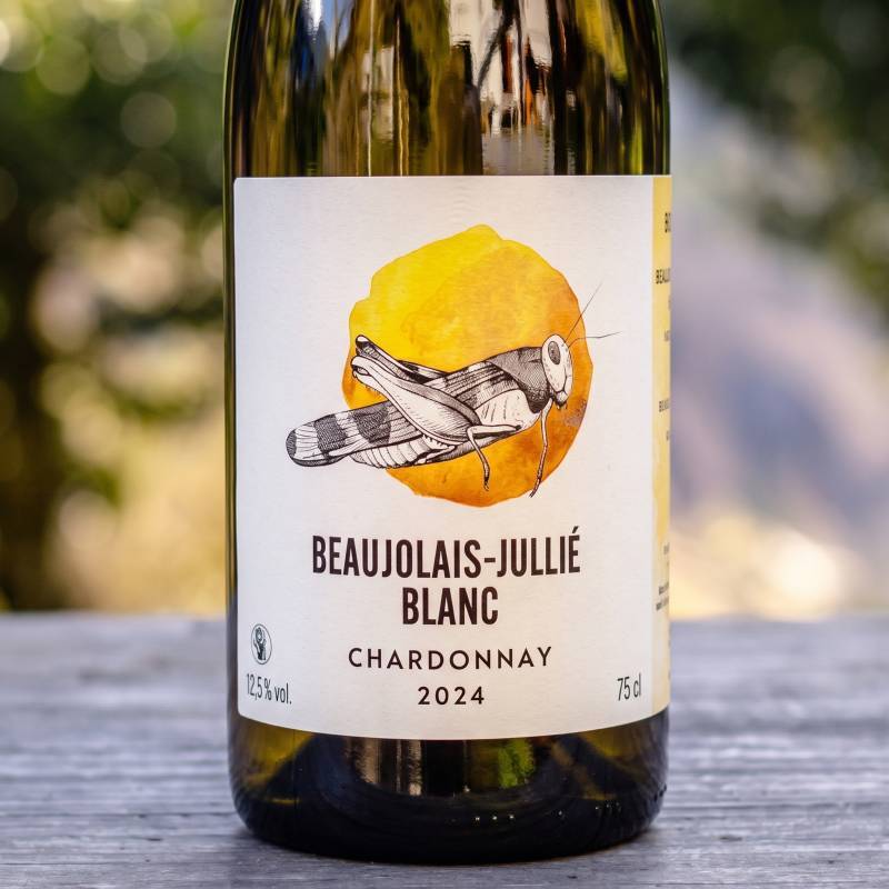 Oedipoda Beaujolais Villages Blanc