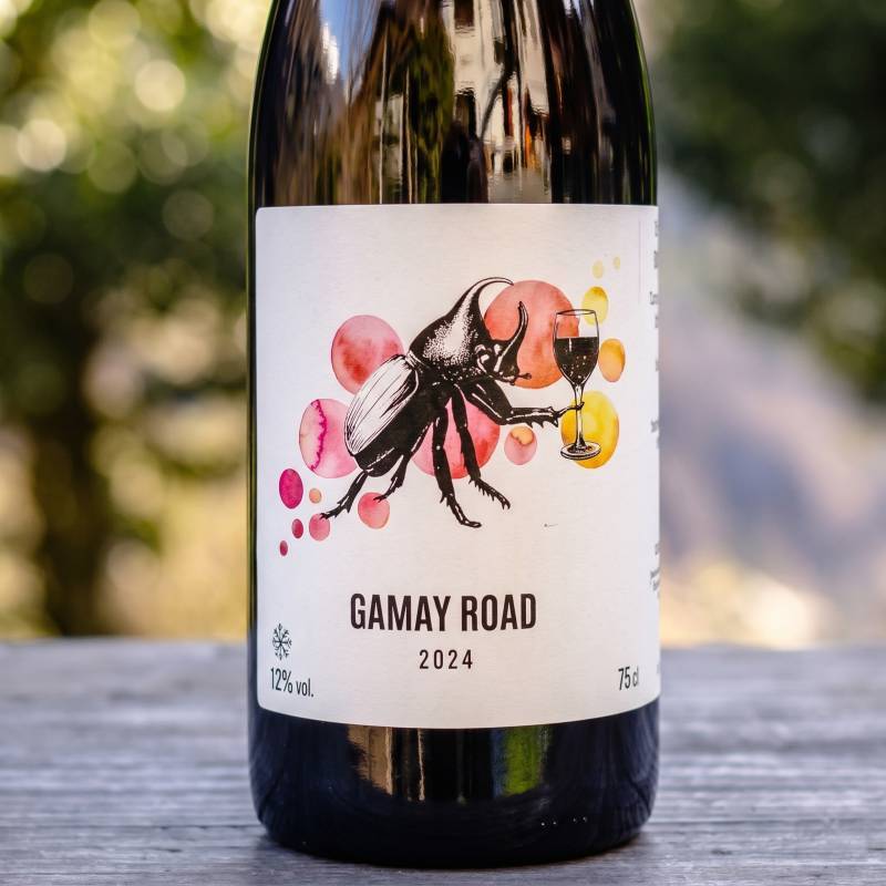 Oedipoda Gamay Road