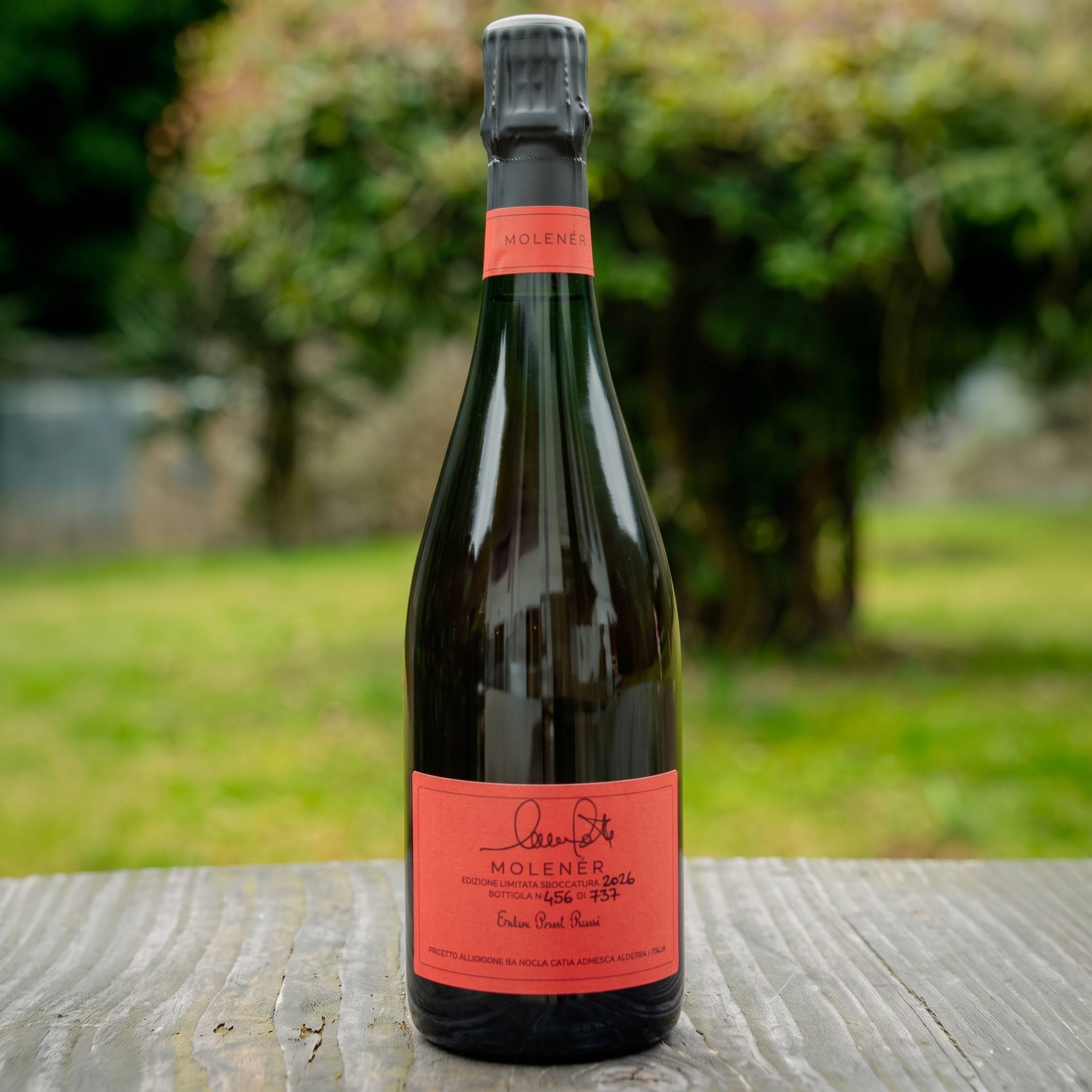 Nicola Gatta Molener Rosè