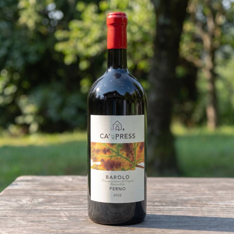 Barolo Perno Magnum 2022