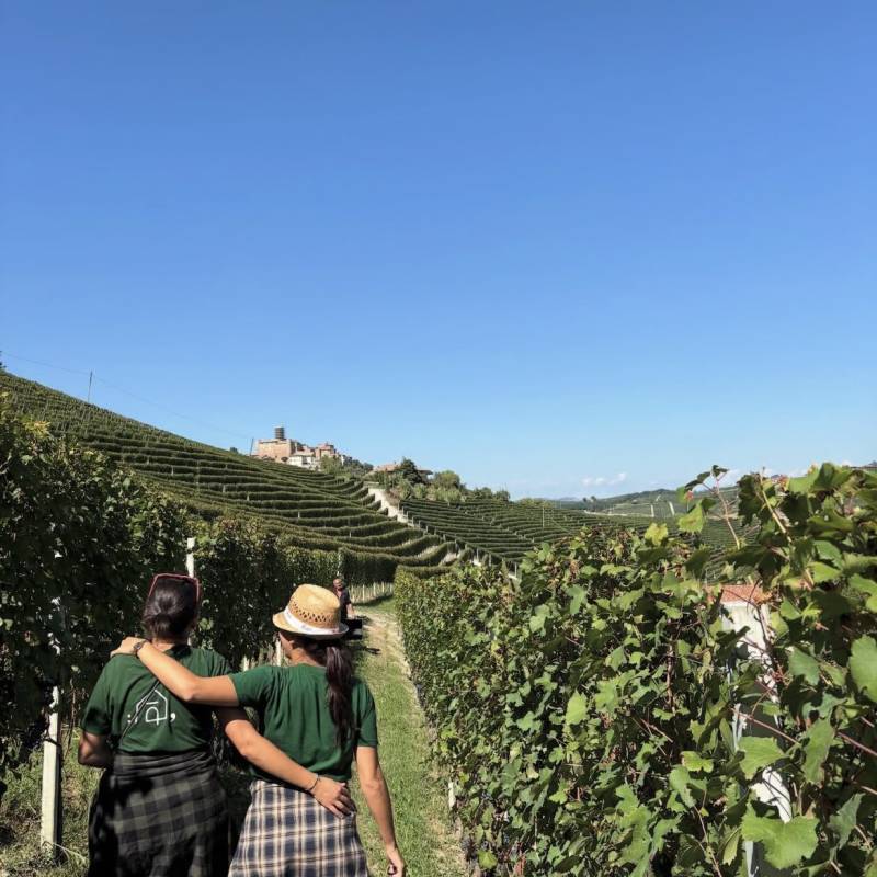 Ca di Press Langhe Nebbiolo 2024 Magnum