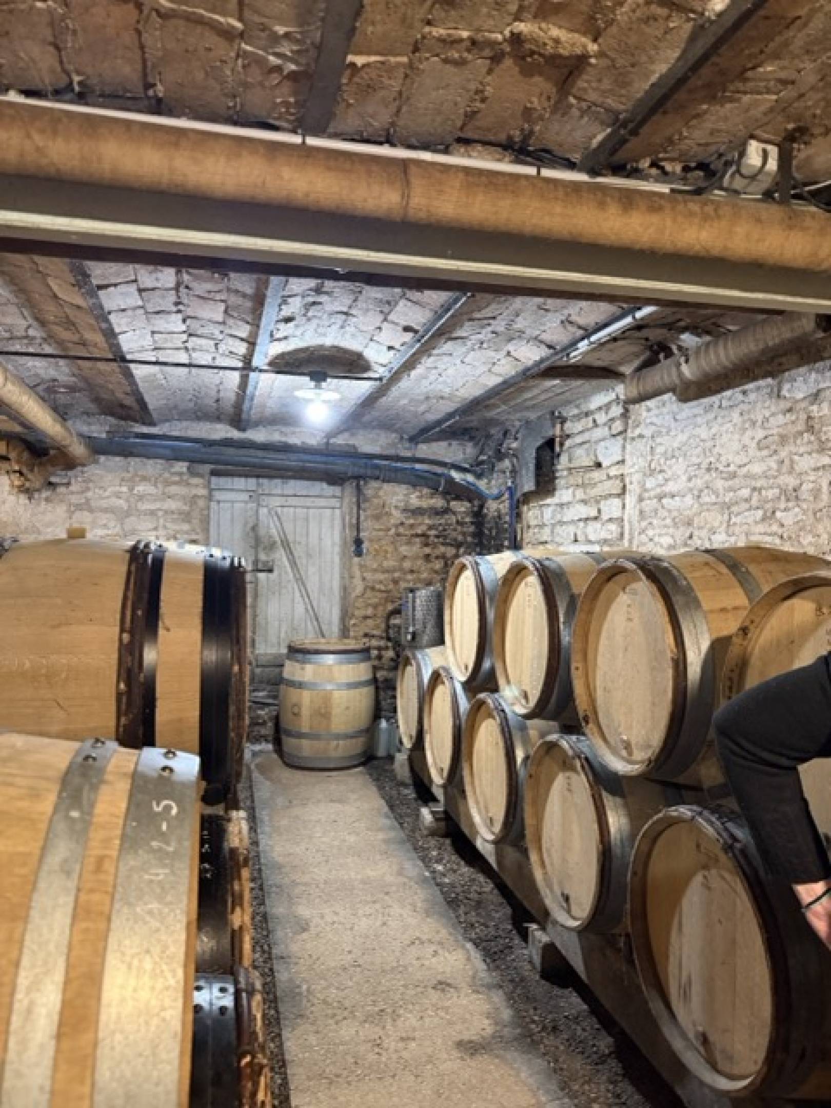 Domaine Leovila: Léocadie Benech e il calcare vivo di Corgoloin