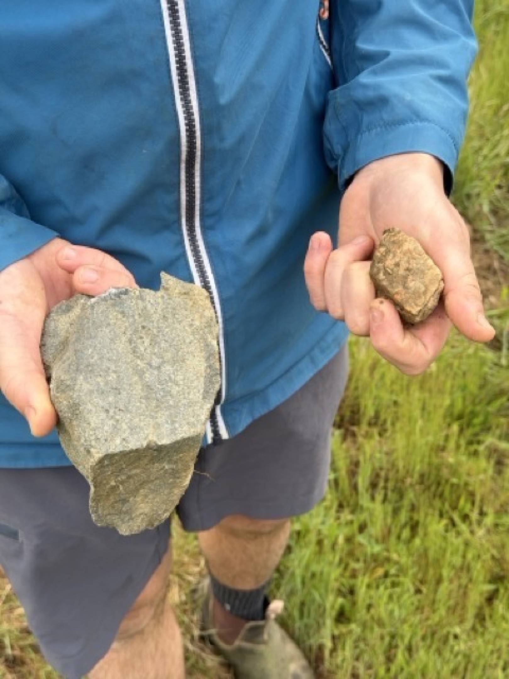 Oedipoda: la scommessa delle pietre blu, dove il Beaujolais finisce