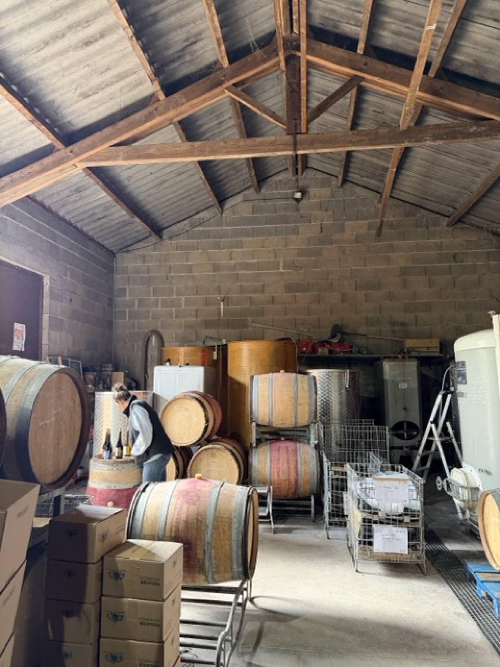 Oedipoda: la scommessa delle pietre blu, dove il Beaujolais finisce