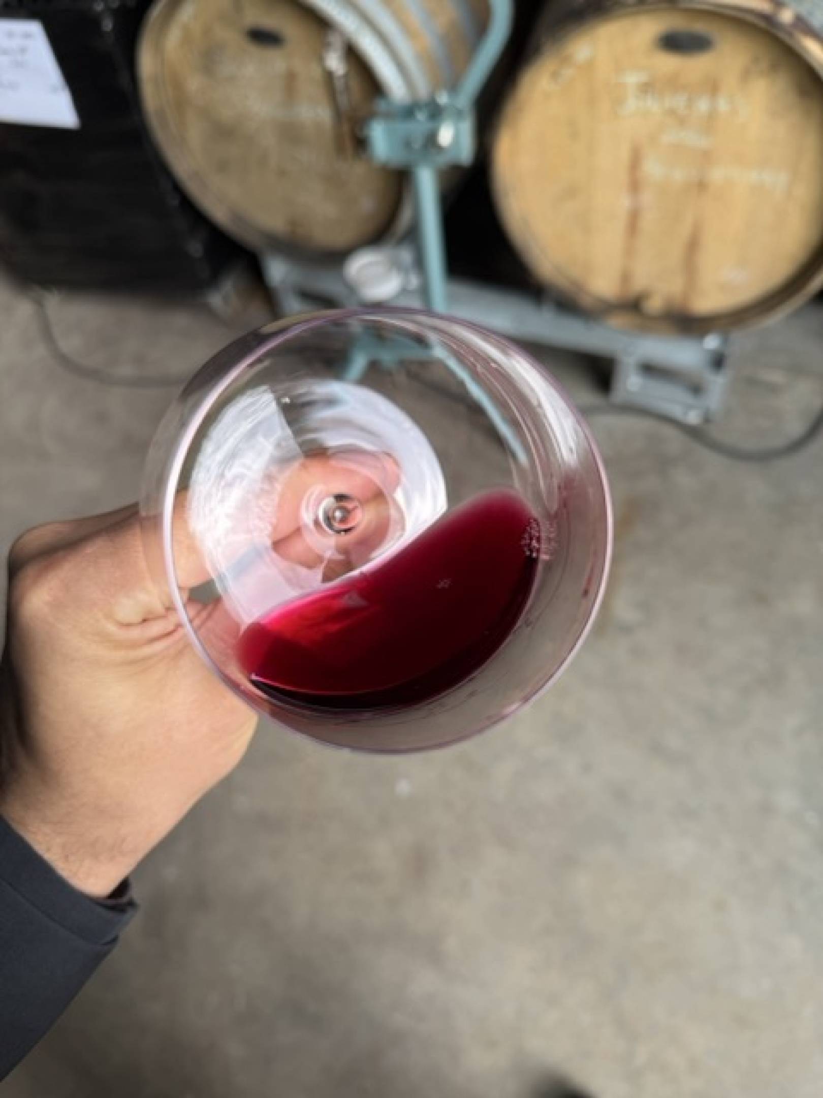 Oedipoda: la scommessa delle pietre blu, dove il Beaujolais finisce