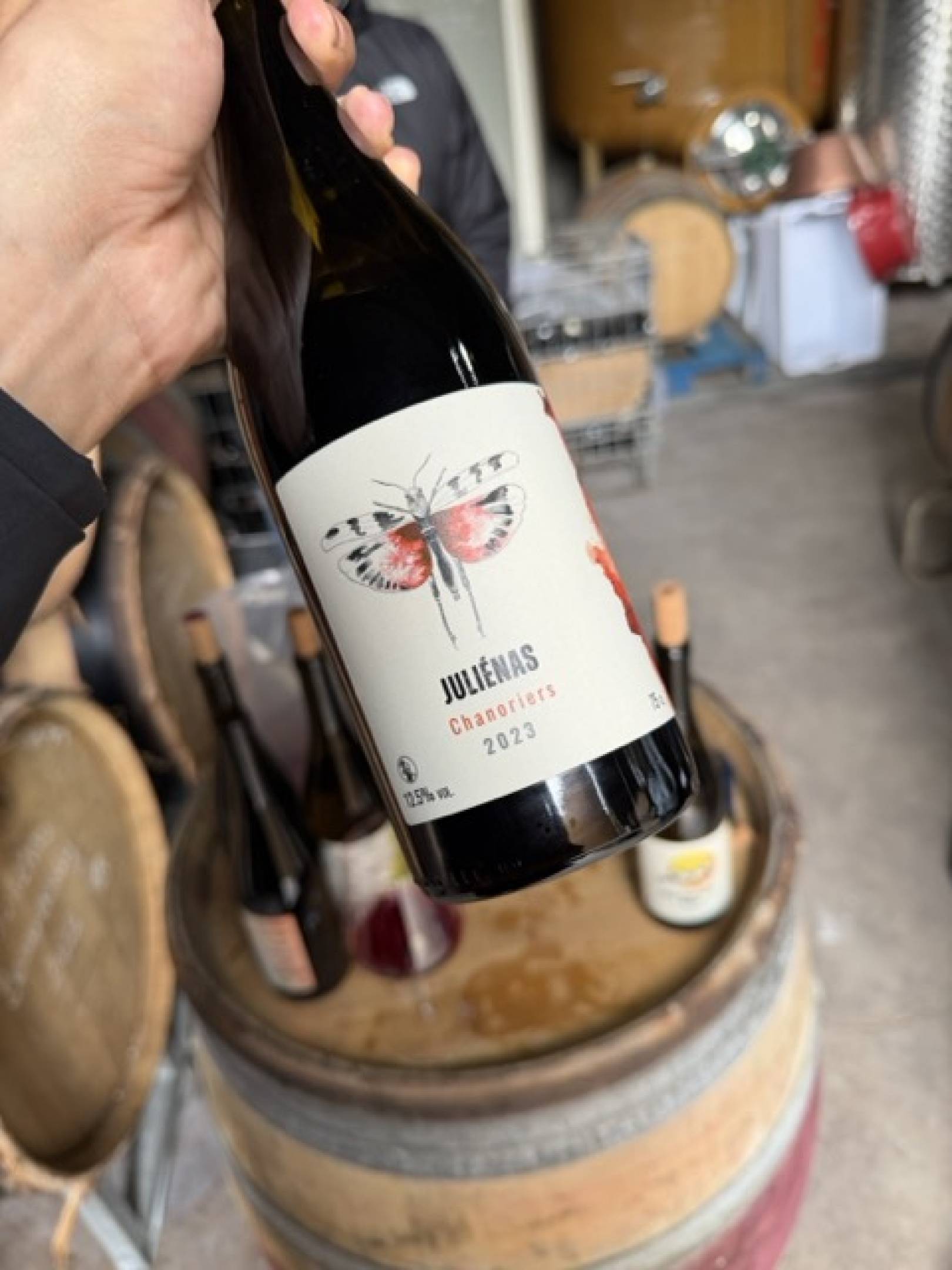 Oedipoda: la scommessa delle pietre blu, dove il Beaujolais finisce