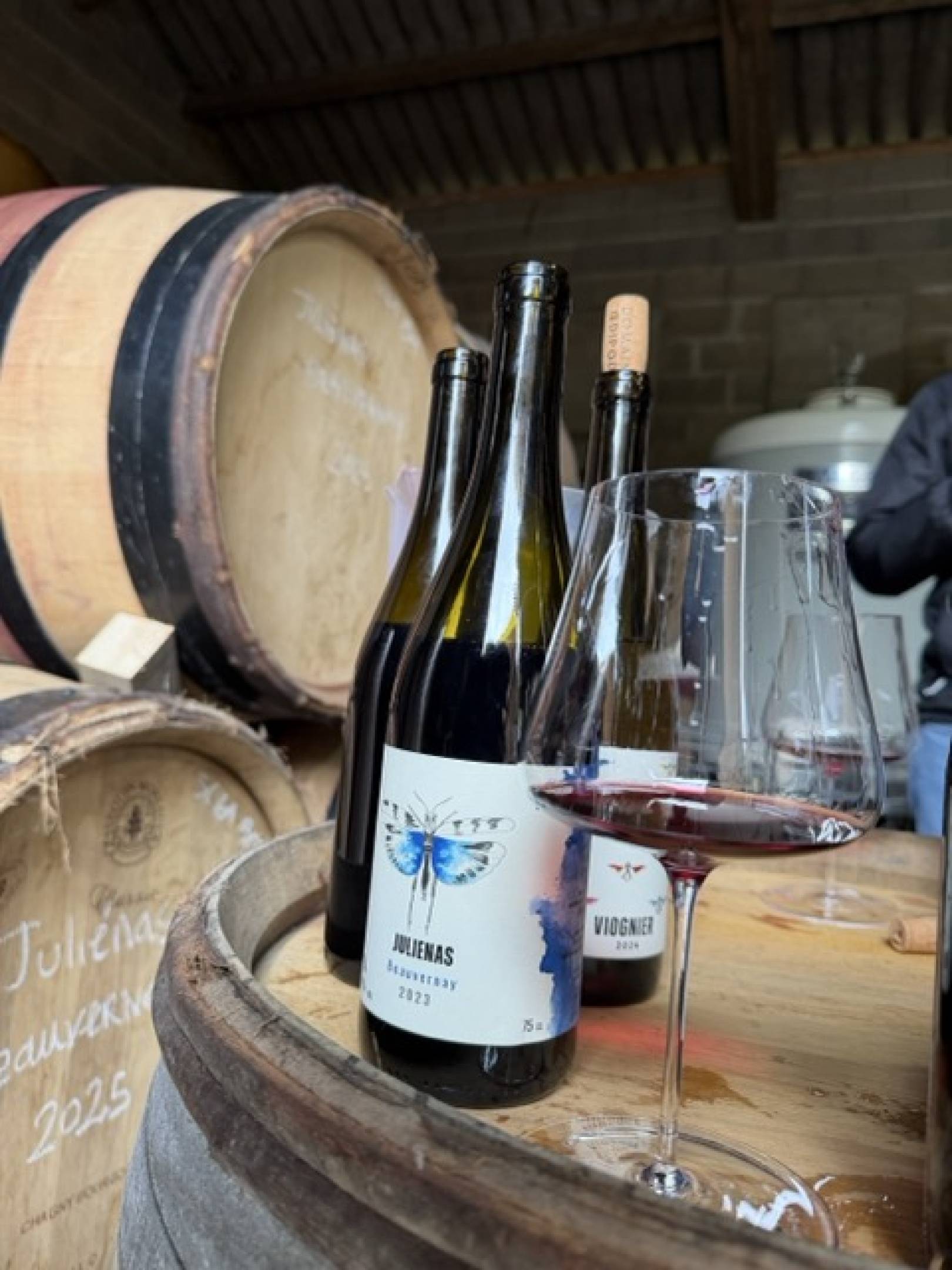 Oedipoda: la scommessa delle pietre blu, dove il Beaujolais finisce