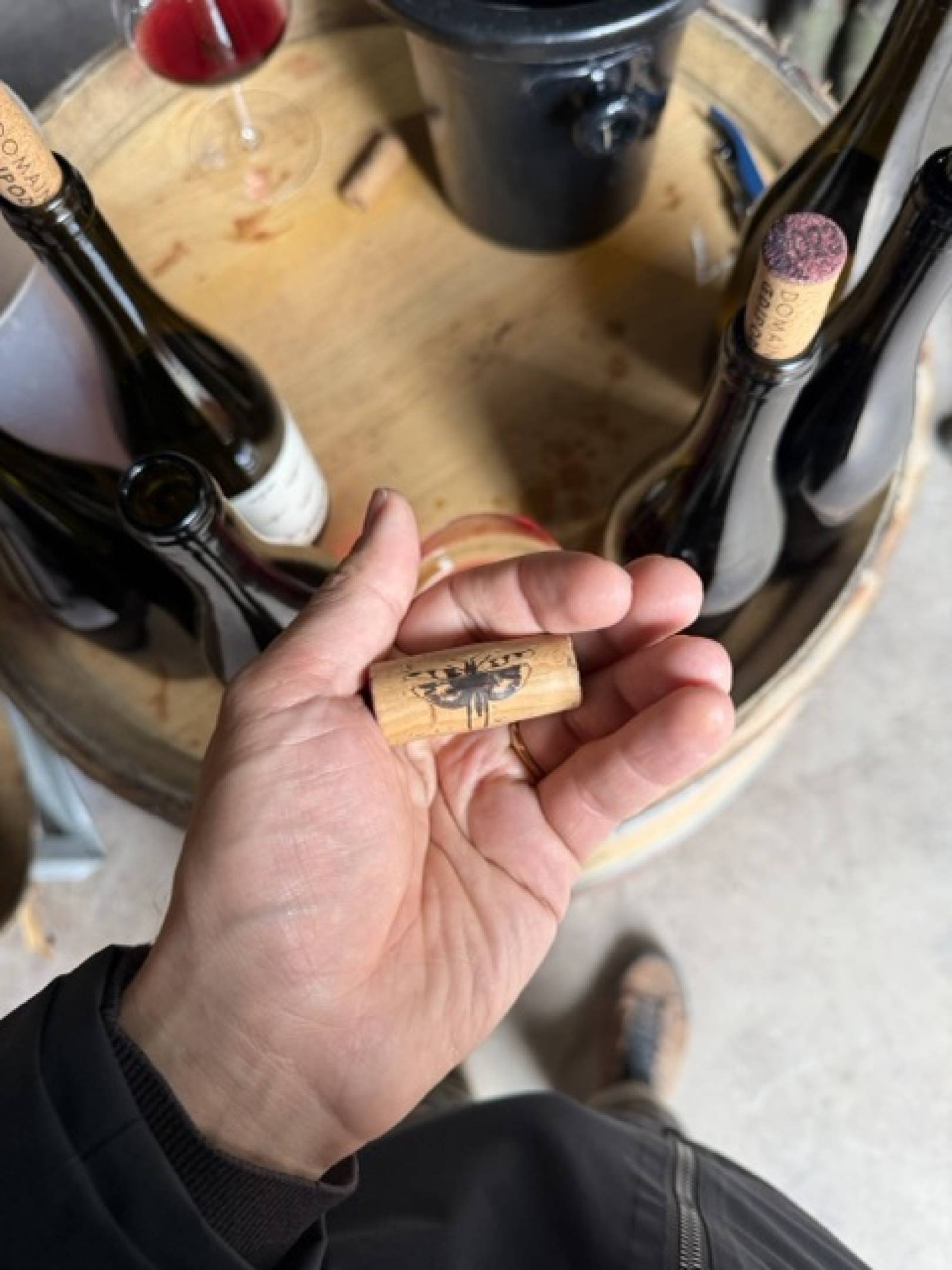 Oedipoda: la scommessa delle pietre blu, dove il Beaujolais finisce