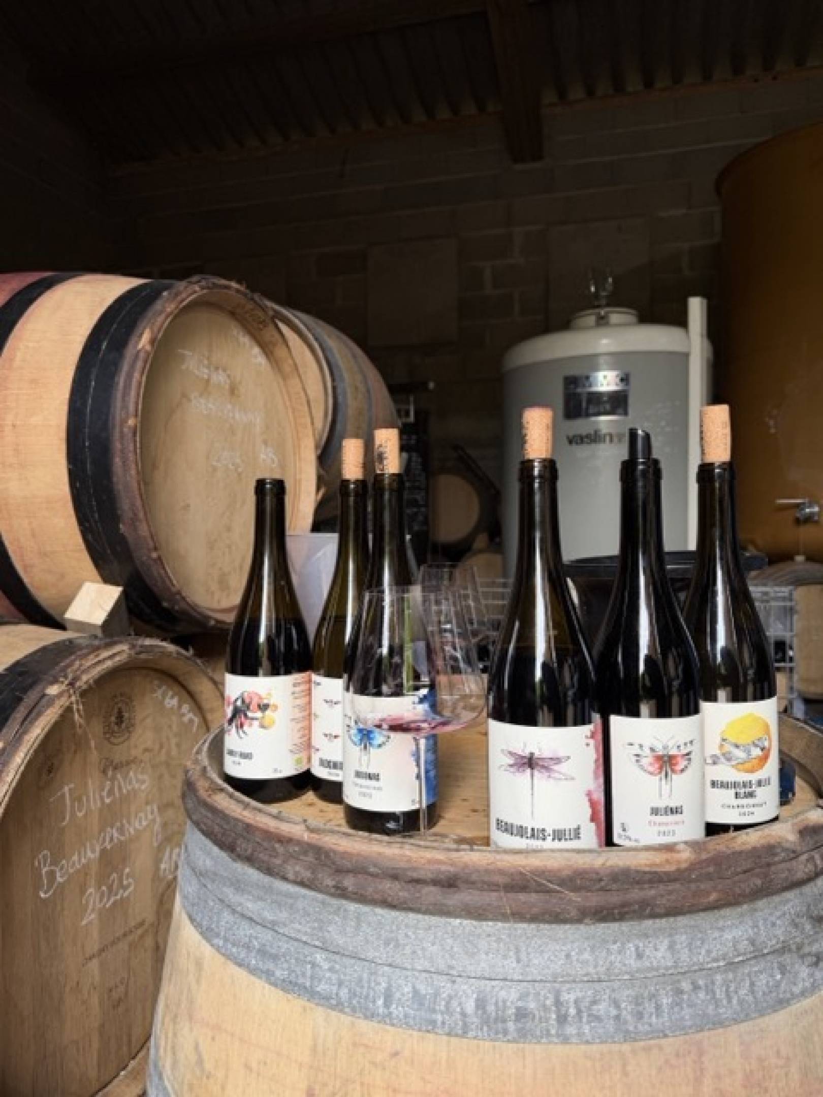 Oedipoda: la scommessa delle pietre blu, dove il Beaujolais finisce