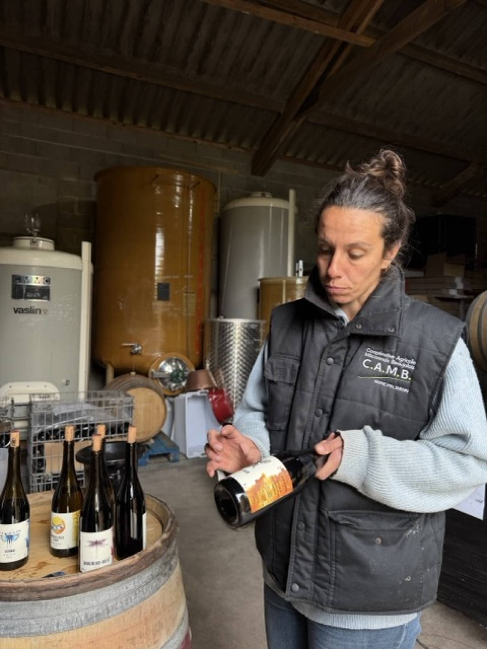 Oedipoda: la scommessa delle pietre blu, dove il Beaujolais finisce