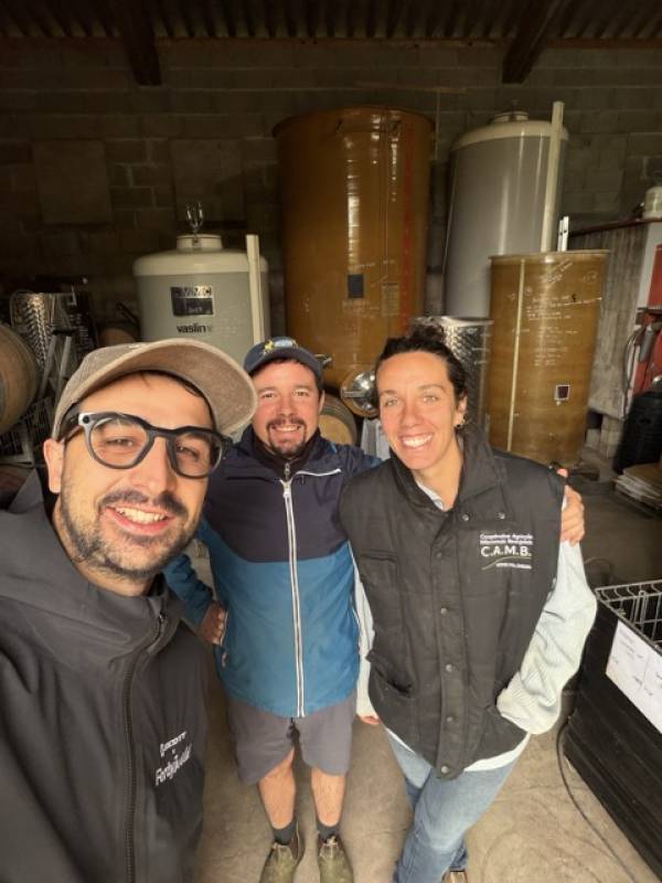 Oedipoda: la scommessa delle pietre blu, dove il Beaujolais finisce