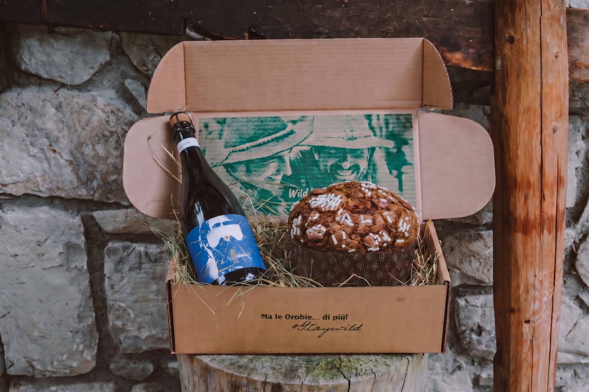 Panettone Wild cioccolato ed Esploratore