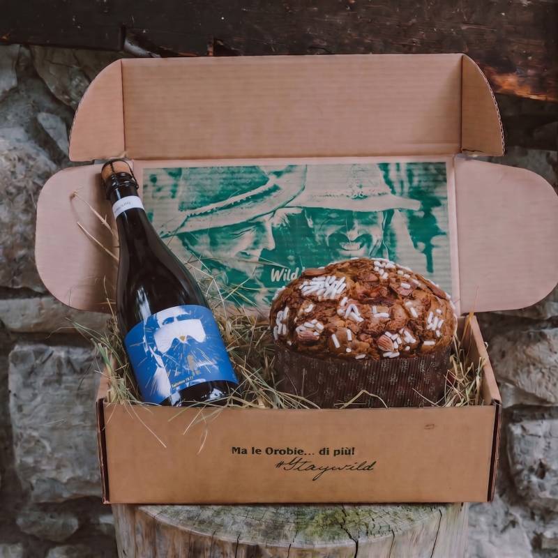 Panettone Wild cioccolato ed Esploratore