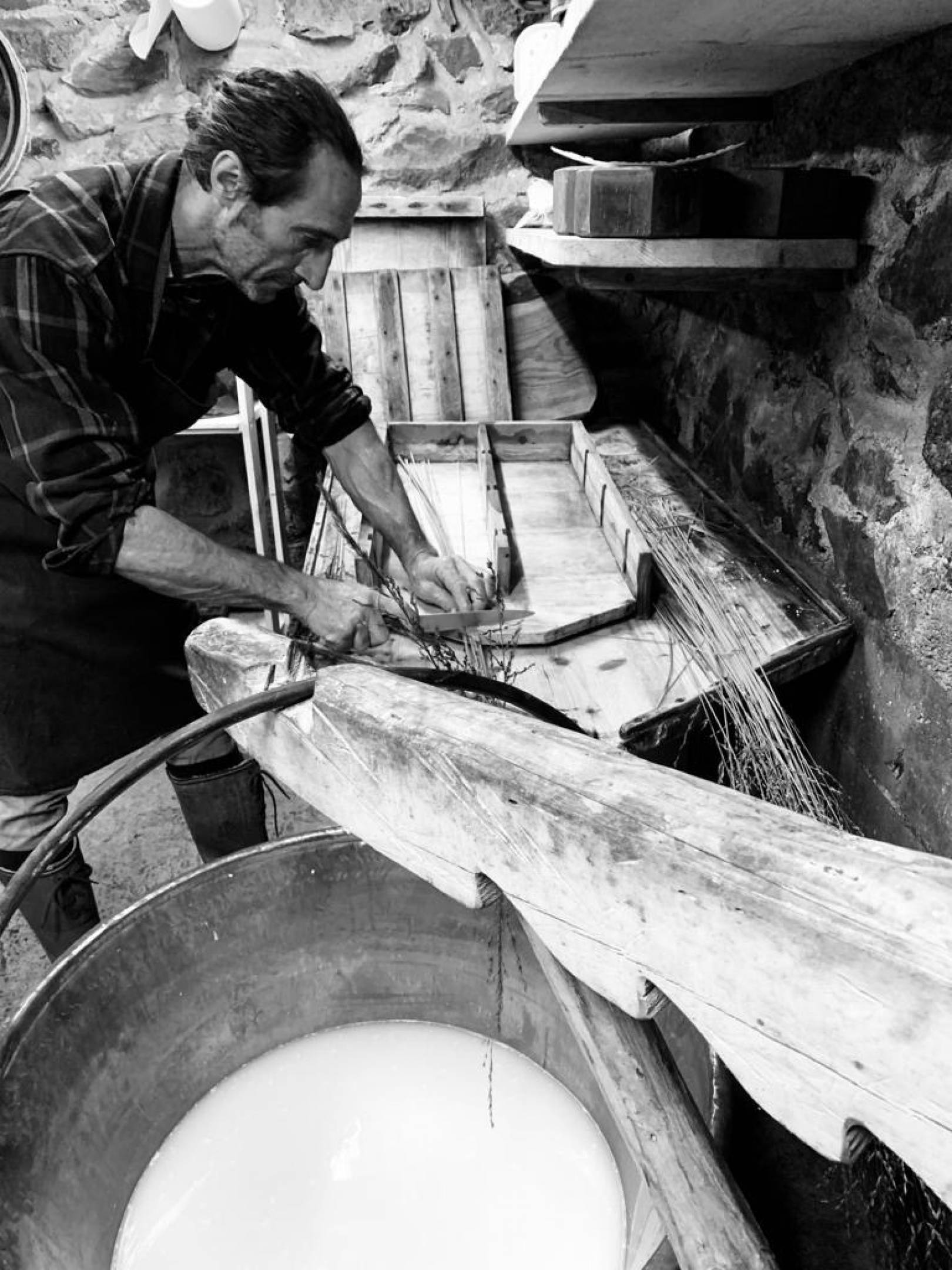 Strachì del Nono Cirillo: the cheese of tired cows