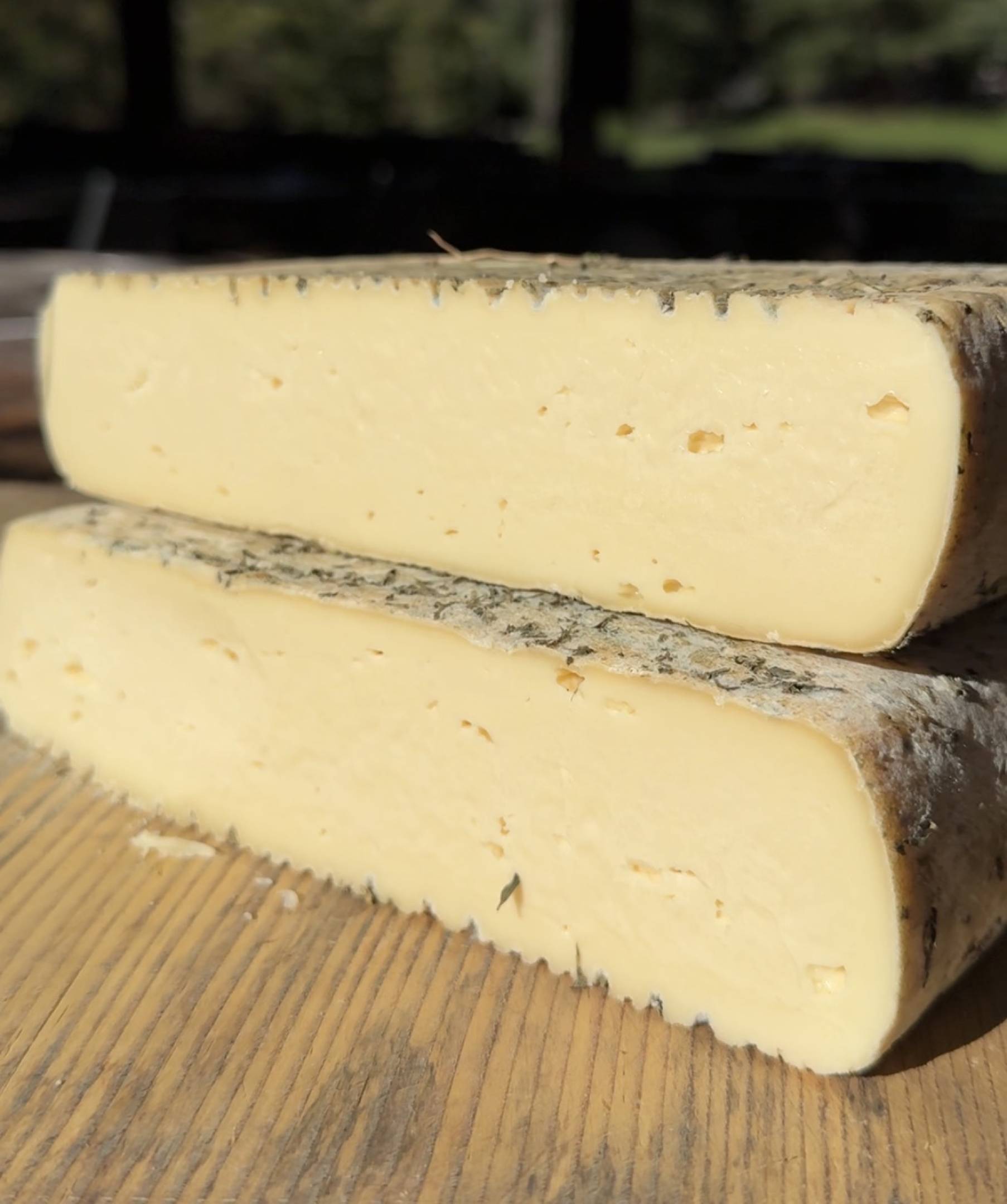 Strachì del Nono Cirillo: the cheese of tired cows