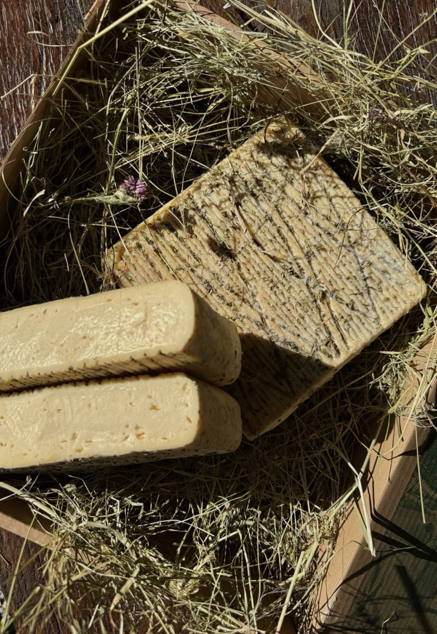 Strachì del Nono Cirillo: the cheese of tired cows
