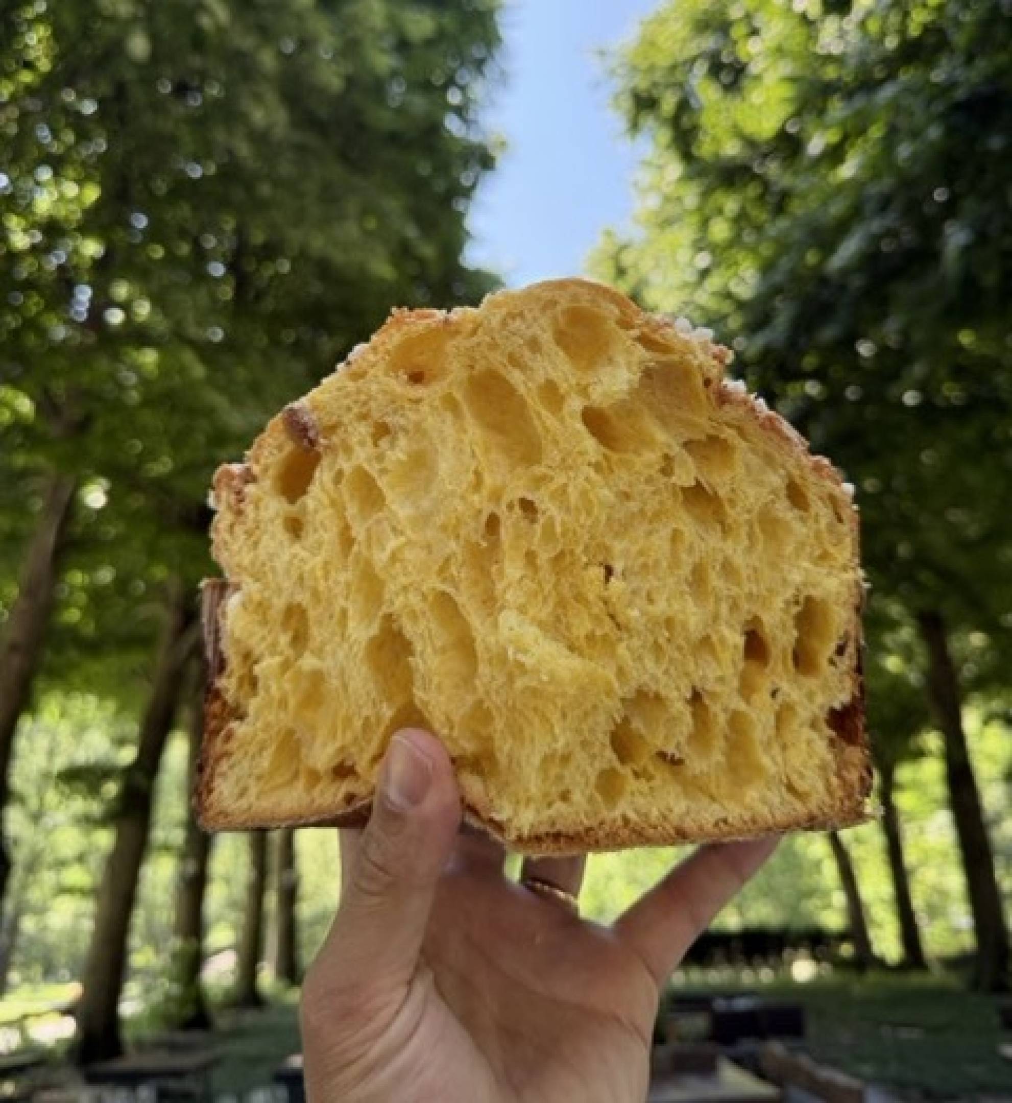 Panettoni Wild: il bosco e il fieno dentro il panettone