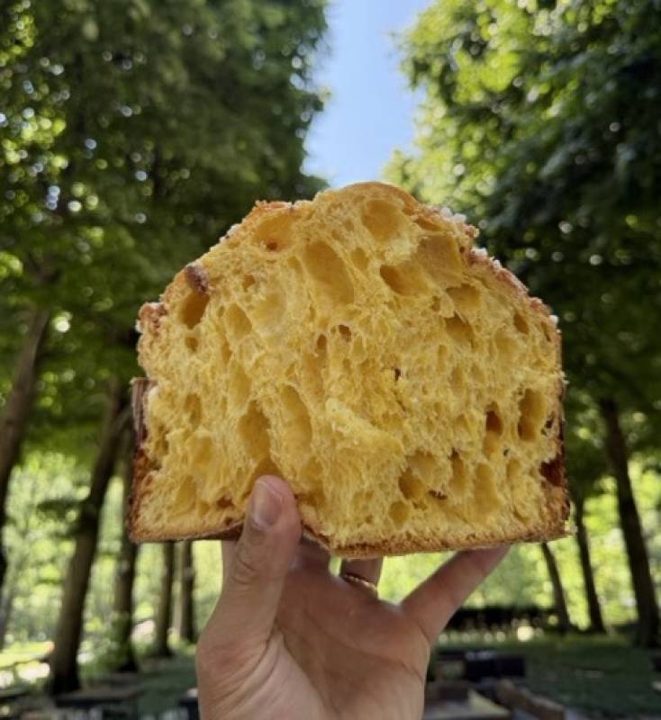 Panettoni Wild: il bosco e il fieno dentro il panettone