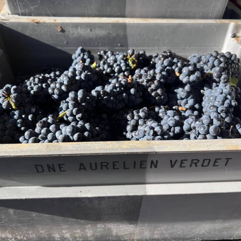 Aurélien Verdet Nuits-Saint-Georges 2022