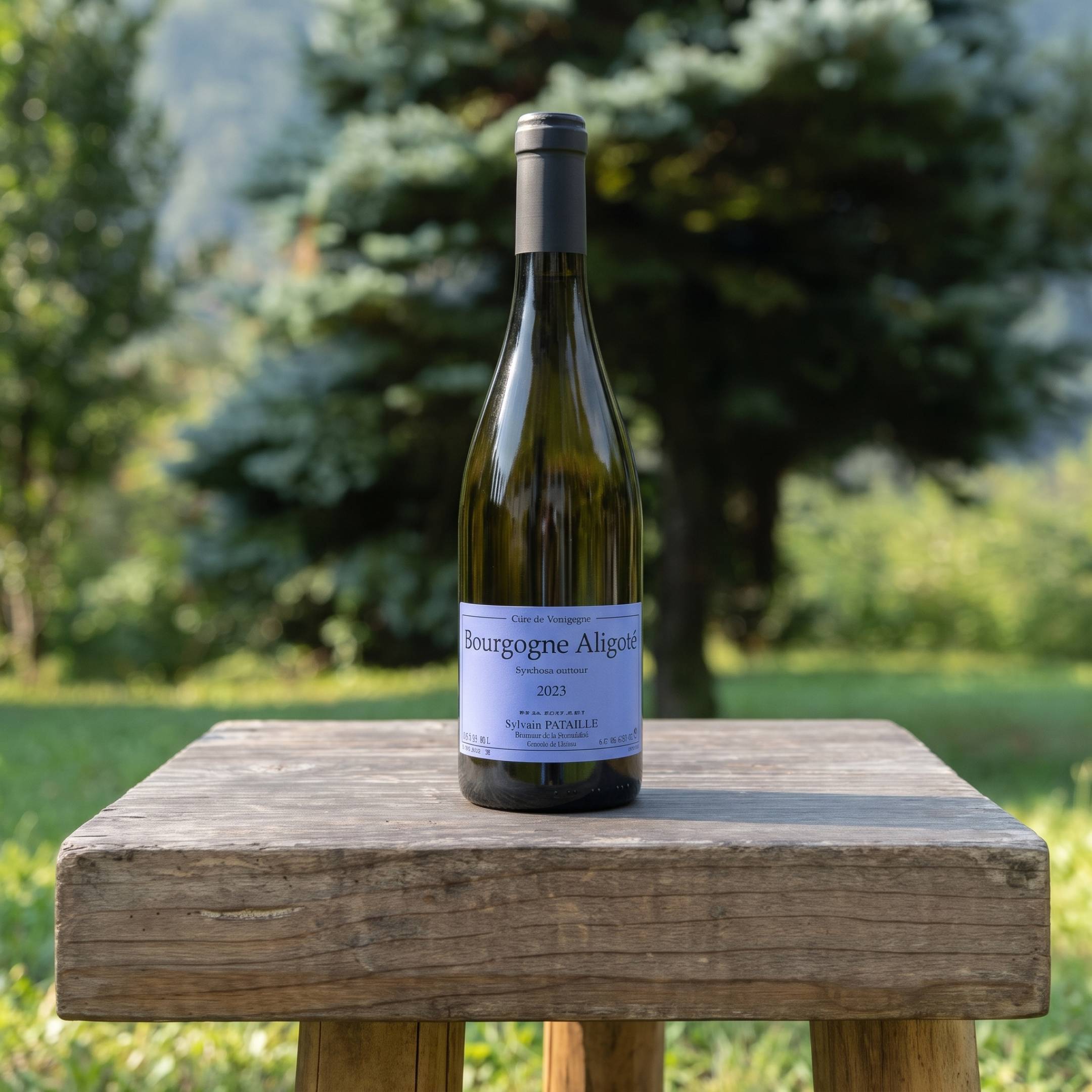 Pataille Sylvain Bourgogne Aligote