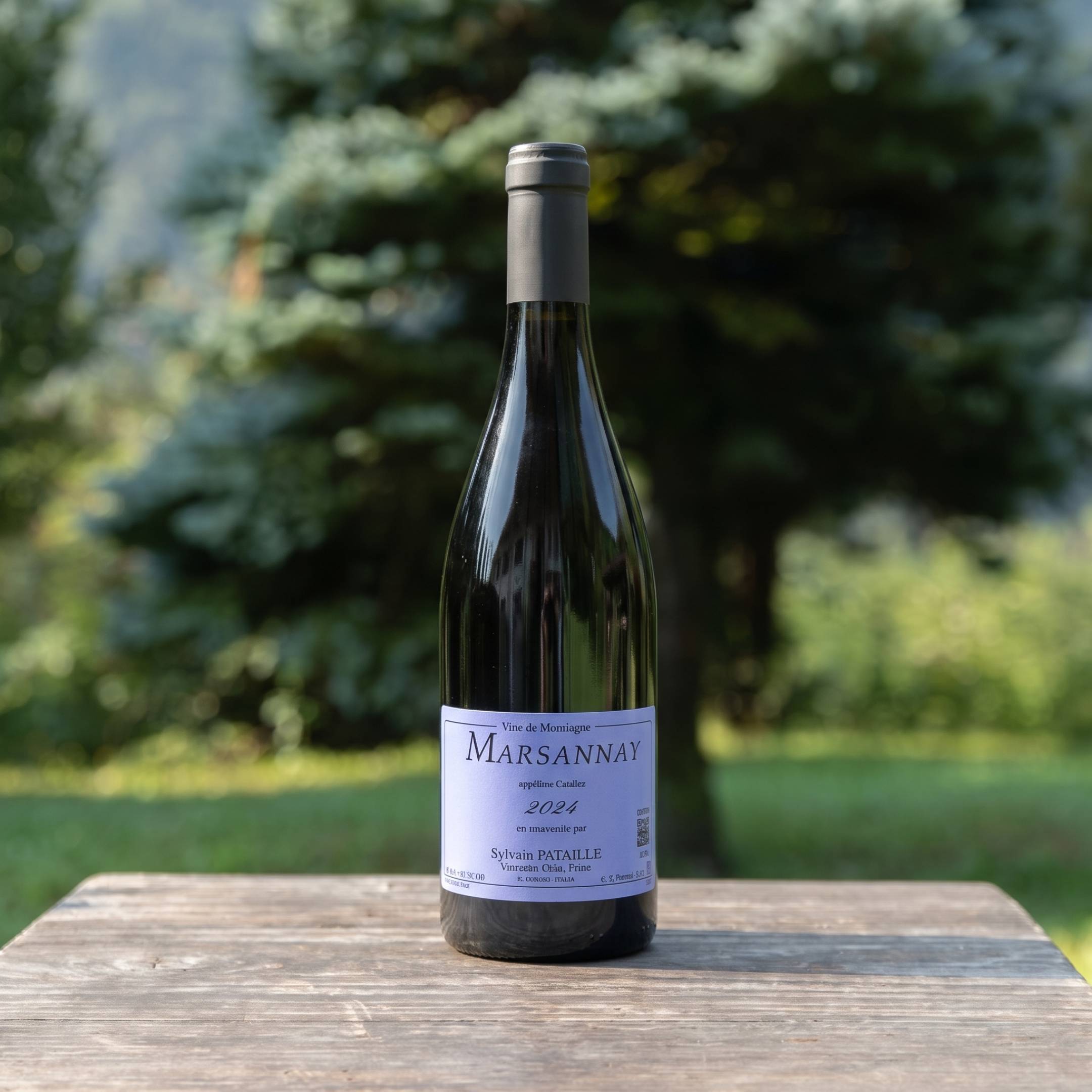 Pataille Sylvain Marsannay Rouge 2024