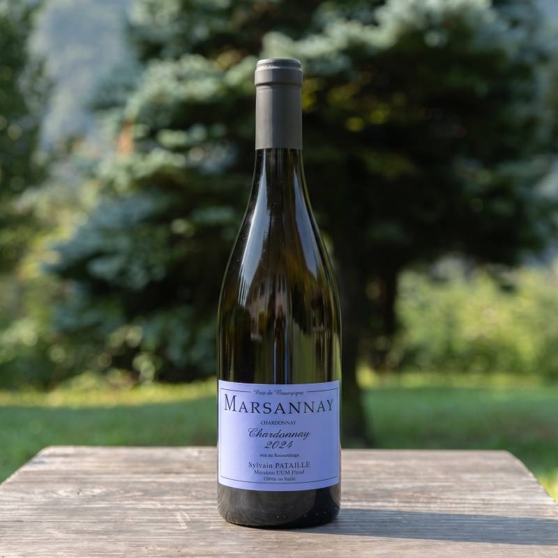 Marsannay Blanc 2024