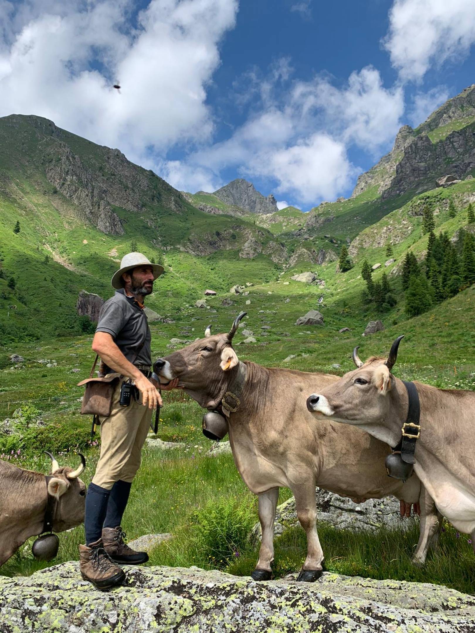 Wild Etik: Carni etiche di Bruna Alpina Originale