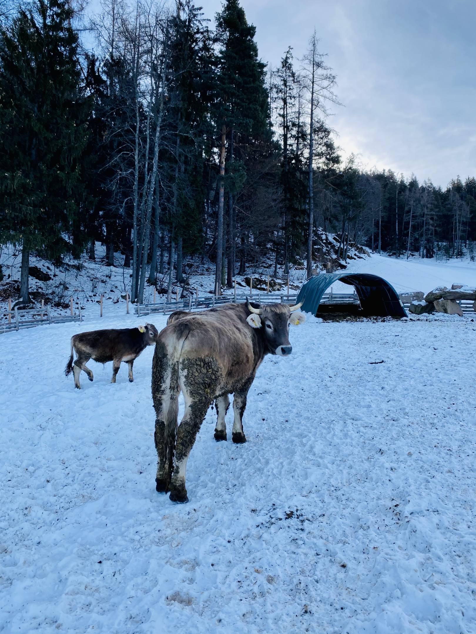 Etik adventure: Viaggio in Alto Adige