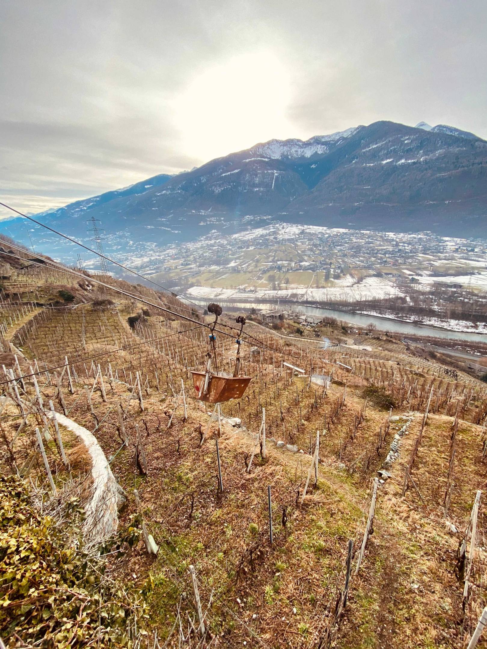 Vini Wild: Valtellina Wild Experience