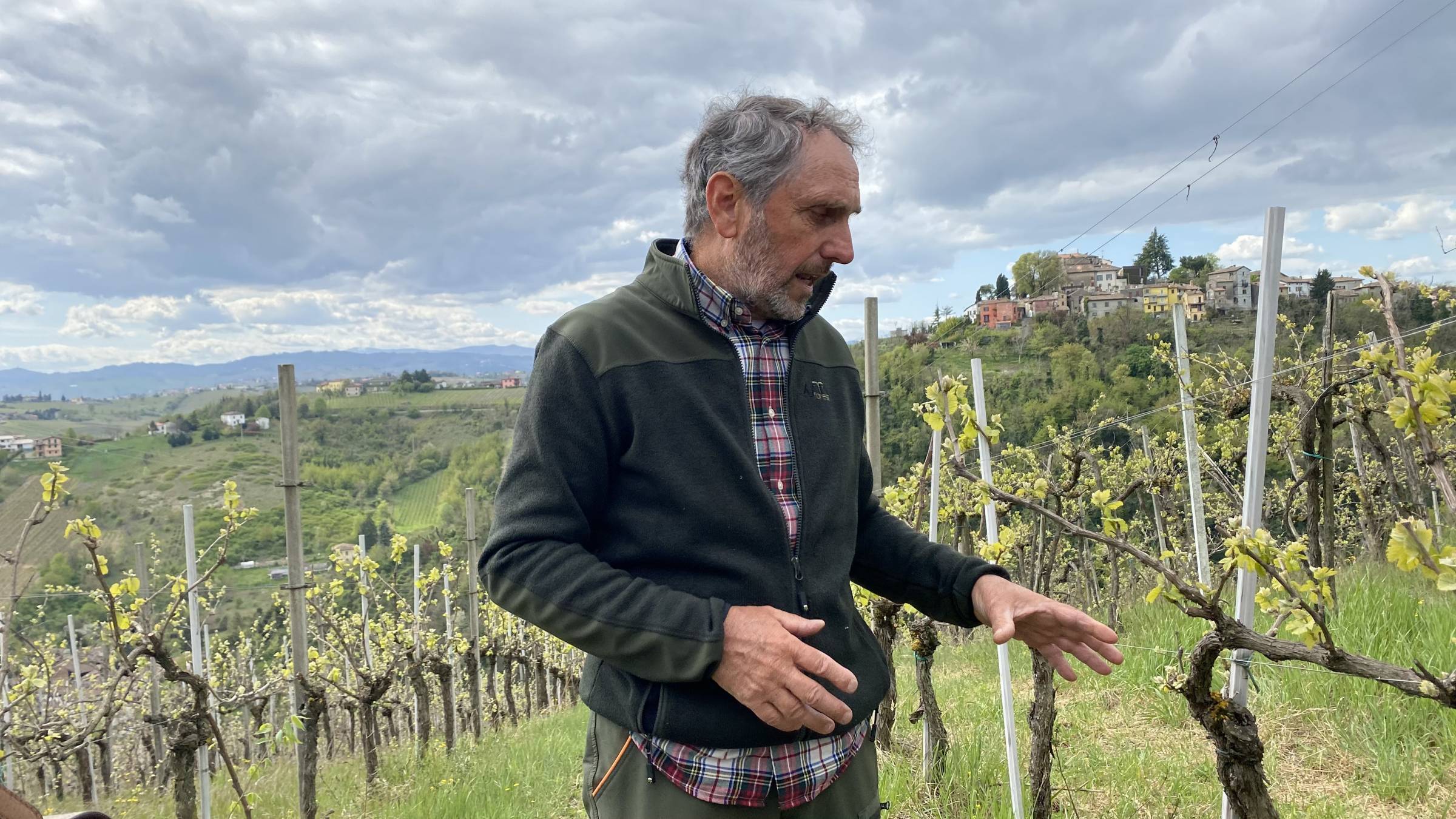 I vini fuori dal tempo di Fausto Andi