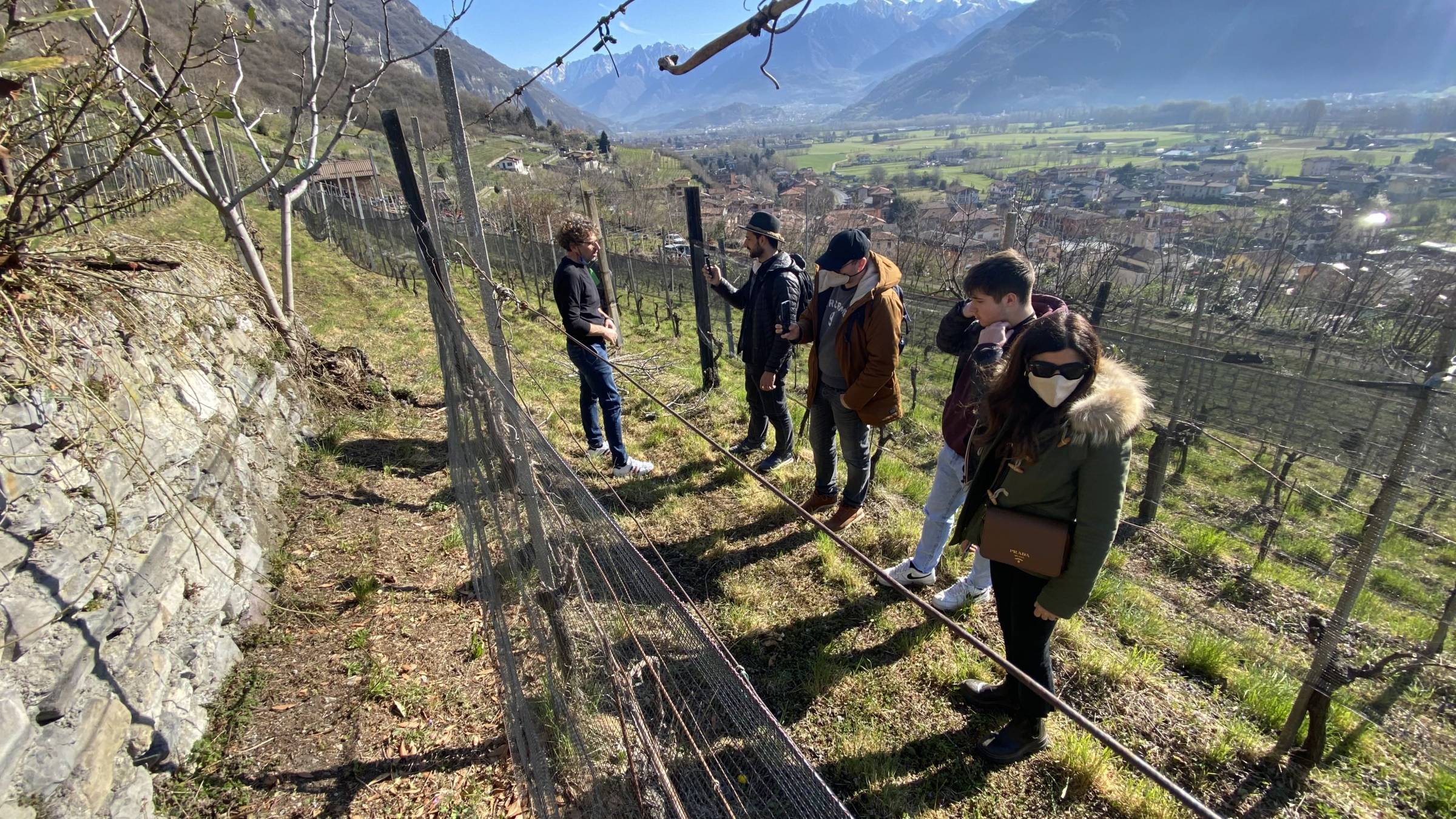 Wild Vigneron Selection - Volume I