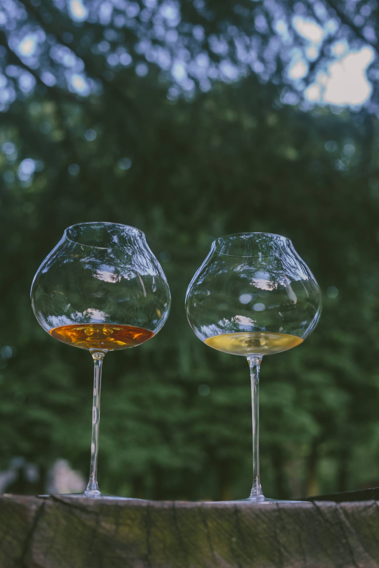 Orange wine. Il nuovo colore del vino italiano - Il talk