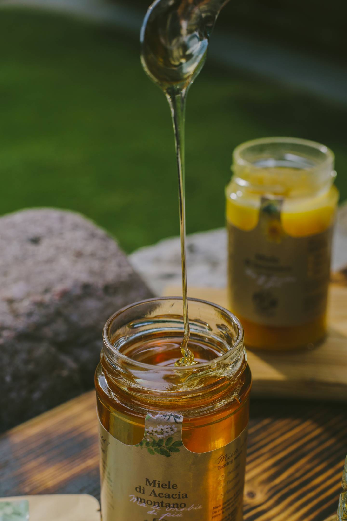 2021 - La produzione del miele di montagna di Ferdy Wild