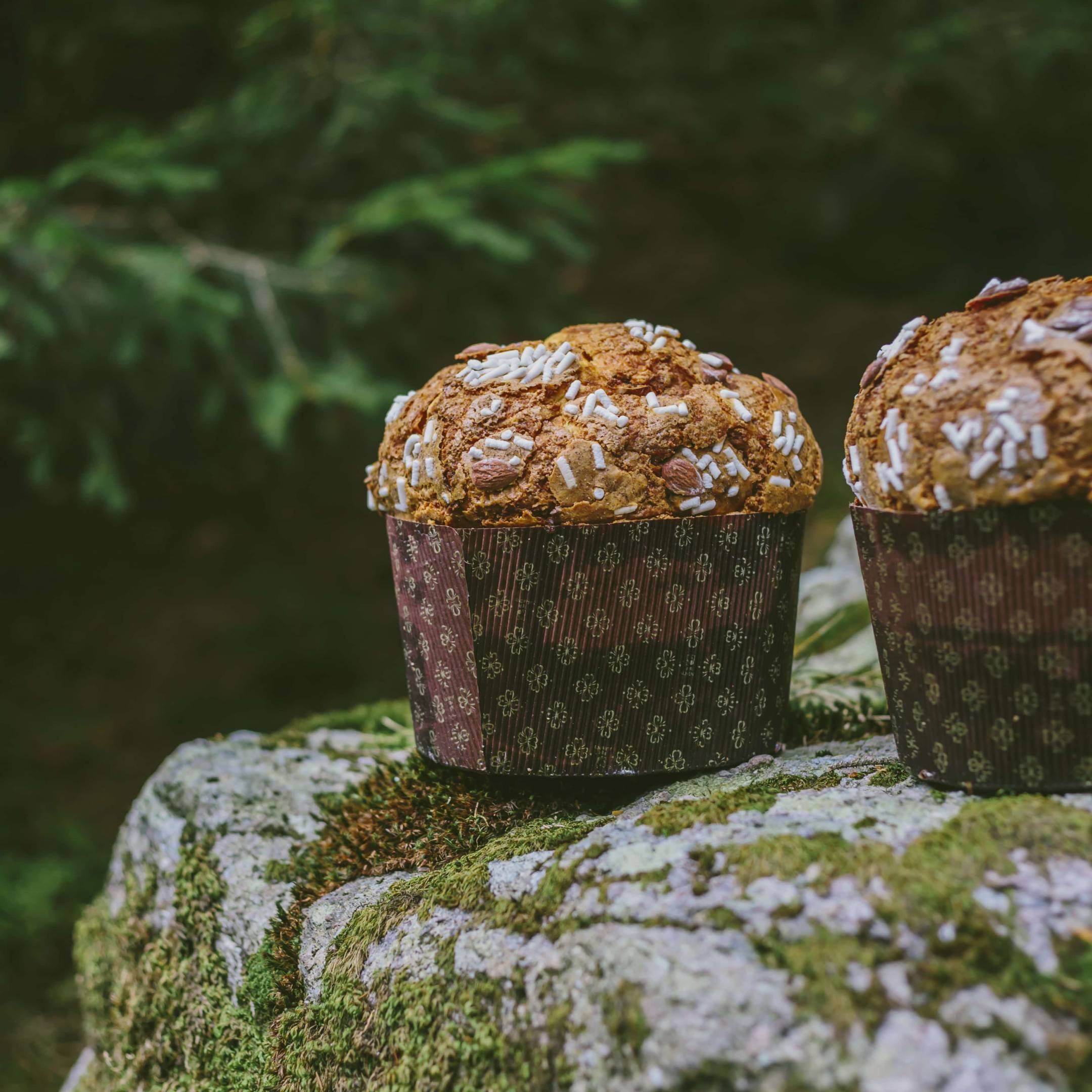 Panettone Wild all'abete rosso