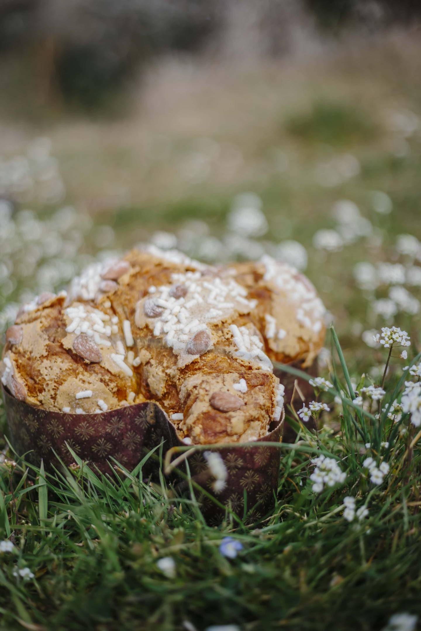 5 vini per una Pasqua wild