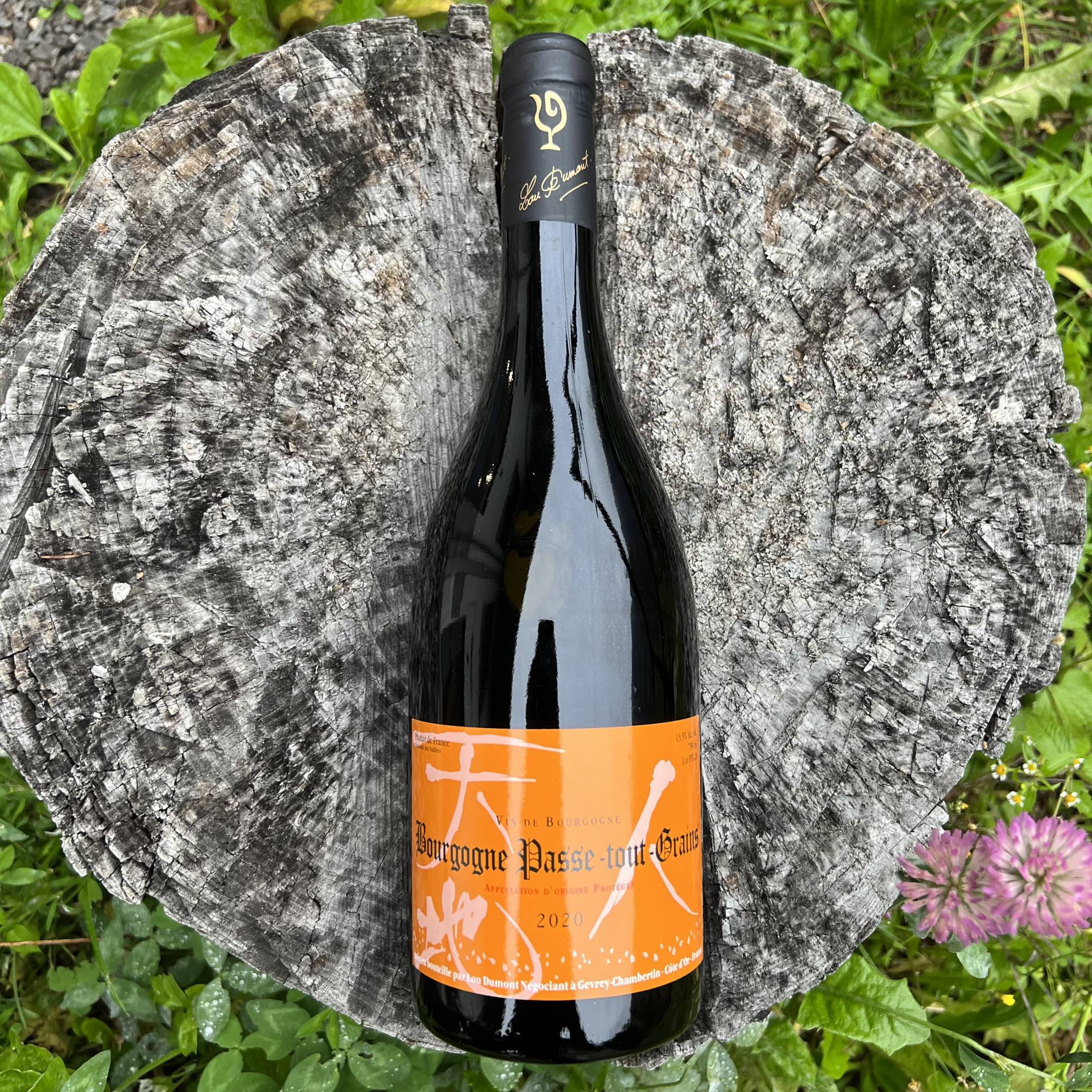 Nakada Koji Bourgogne Passe-tout-Grains 2020