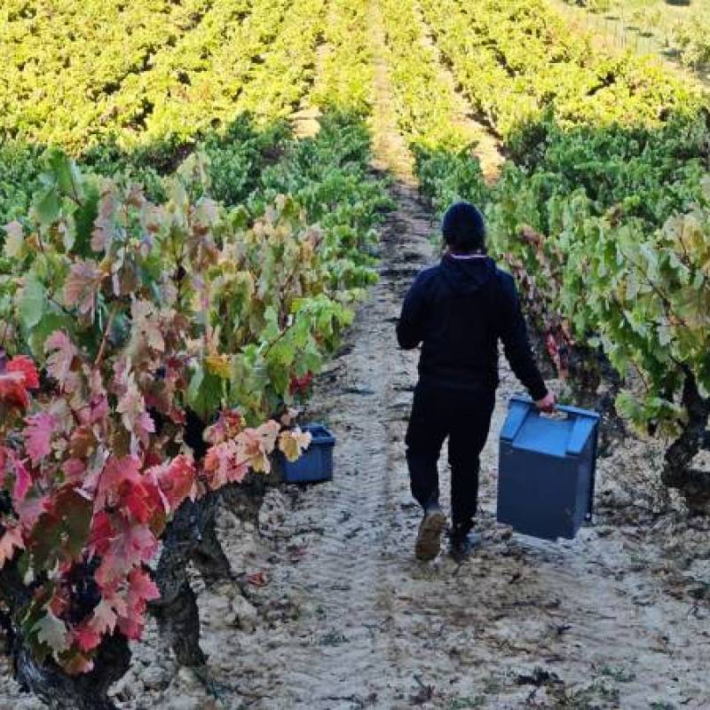 Piano Piano Rioja rosso