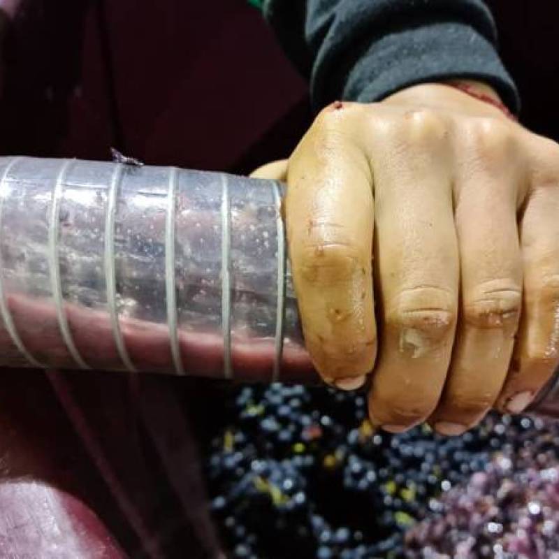 Piano Piano Rioja rosso